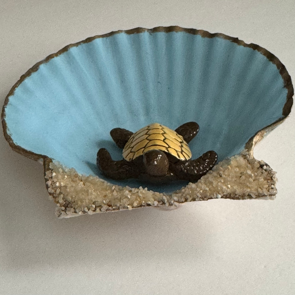 Seashell Trinket Dish Turtle